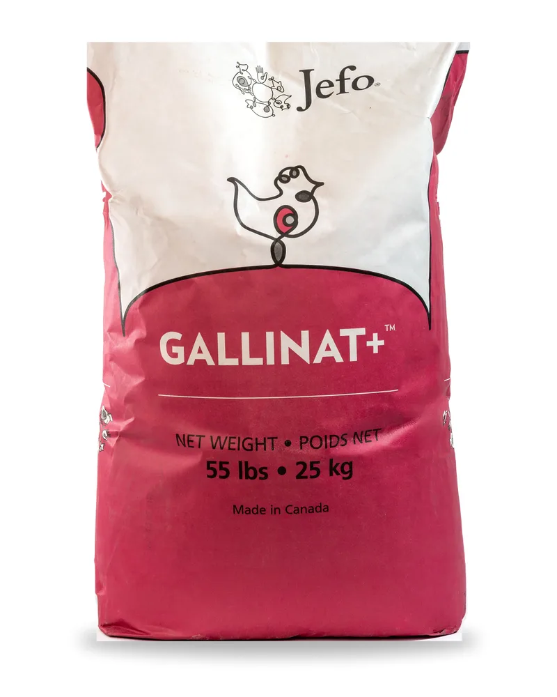 Saco de GALLINAT+™, de Jefo Nutrition Inc