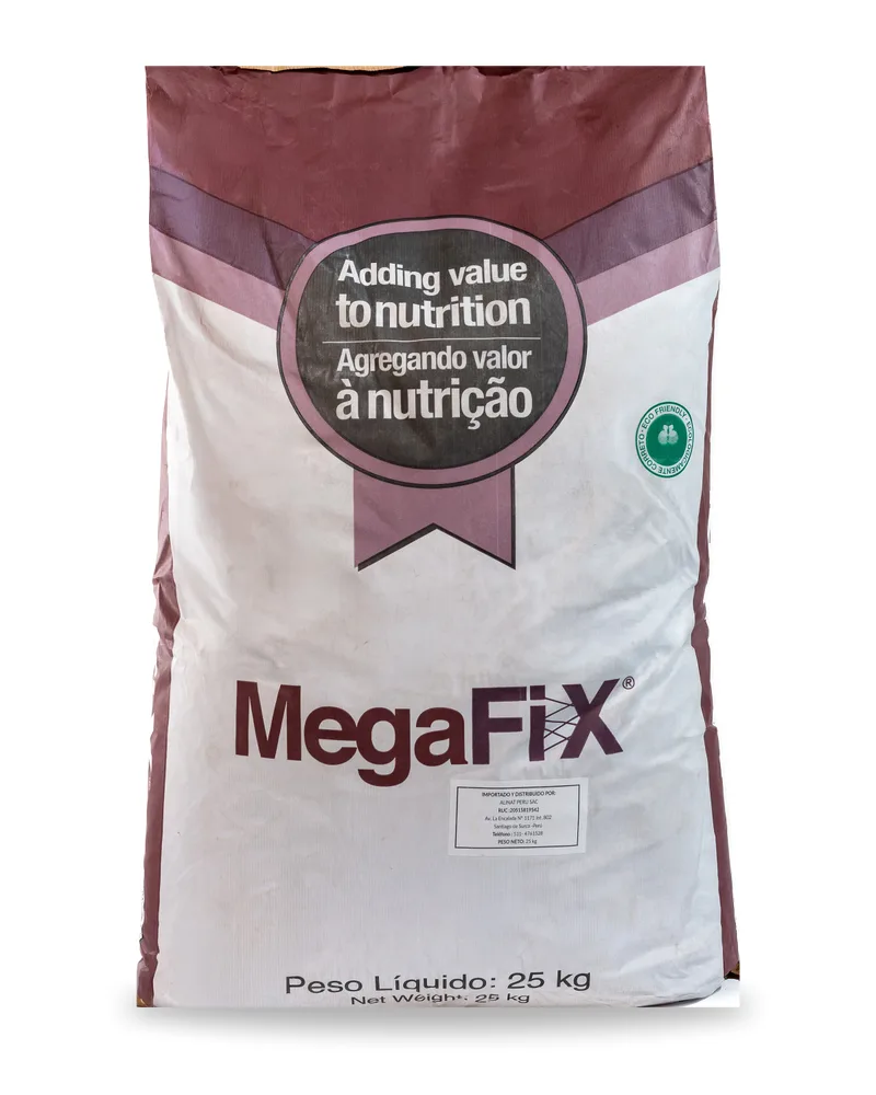 Saco de MEGAFIX®, de ICC Industrial Com. Exp. e Imp. Ltda